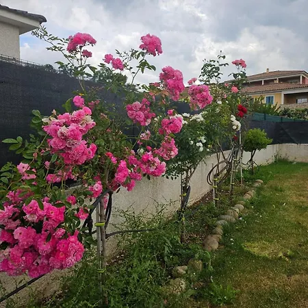 بيت للعطل Et Jardin Proche De La Et De Bastia Vescovato